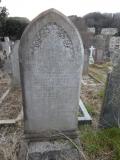image of grave number 295356